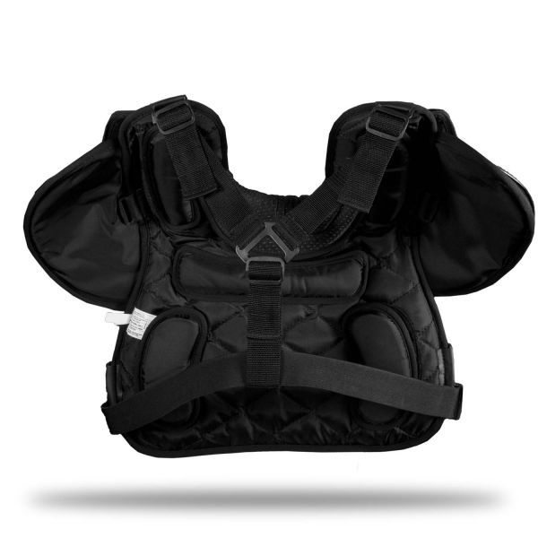 Honig's Pro "Elite" Protector 2010